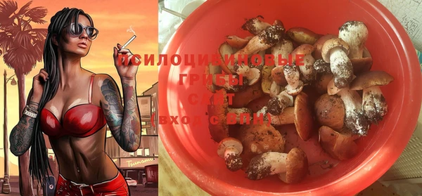 гашик Алзамай
