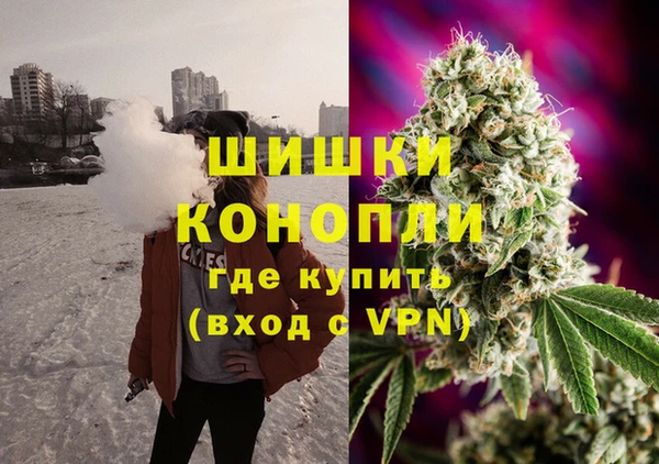 гашик Алзамай