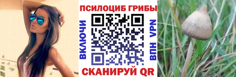 дарнет шоп  дарк нет какой сайт  Галлюциногенные грибы Psilocybe  Коркино  KRAKEN маркетплейс 